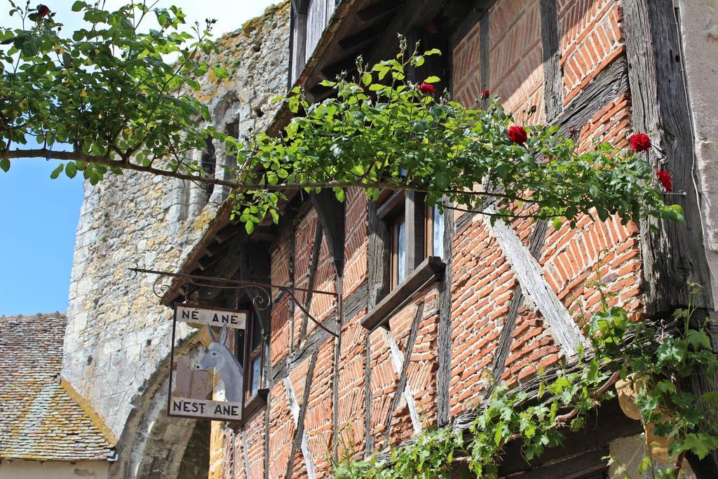 Le Meublé MONESTOIS Villa Mennetou-sur-Cher Esterno foto