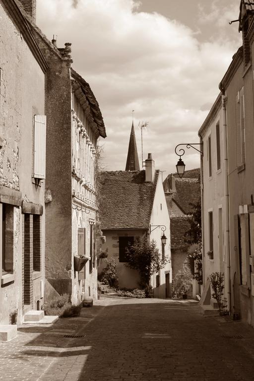 Le Meublé MONESTOIS Villa Mennetou-sur-Cher Esterno foto