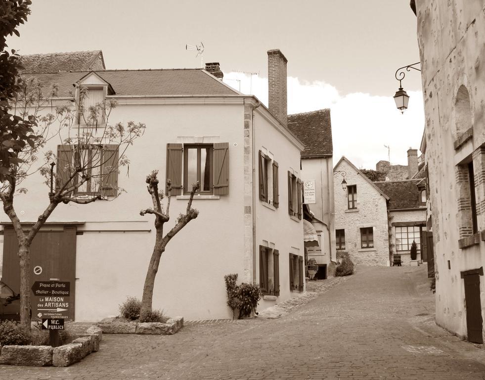 Le Meublé MONESTOIS Villa Mennetou-sur-Cher Esterno foto