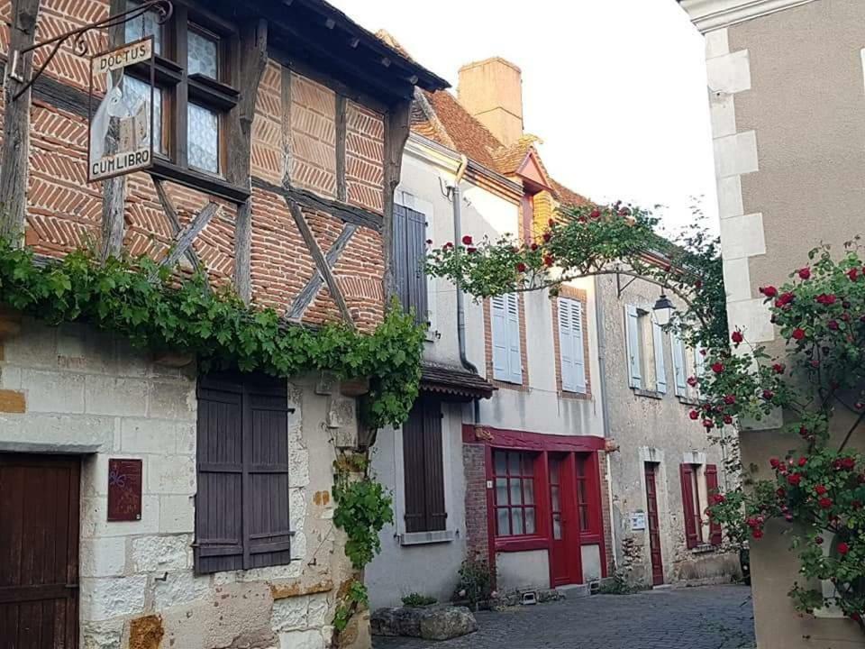 Le Meublé MONESTOIS Villa Mennetou-sur-Cher Esterno foto